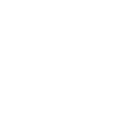 Renda Bàsica Ara