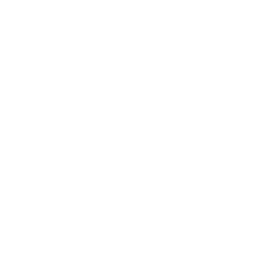 Renda Bàsica Ara